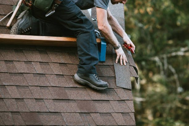 Best Roof Gutter Cleaning  in Wrightsboro, NC